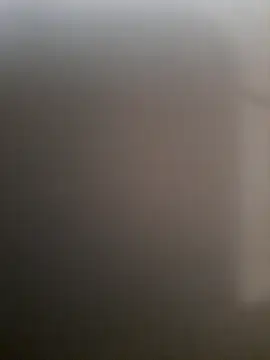 piedic online show from 03-03-26, 10:21