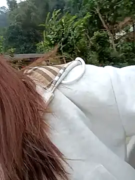 Snapshot of Chinchink2 chatting on 12-15-25, 04:17 Chinchink2 online show from 12-15-25, 04:17