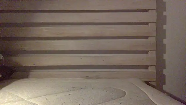 Palinchik online show from 02-25-26, 02:43