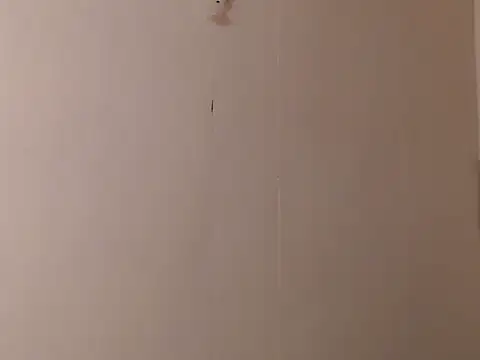 camelastarsairo online show from 03-31-26, 09:37