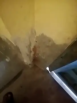 ahannaskar228 online show from 12-22-25, 09:17