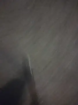 marcoboss online show from 04-16-26, 09:50