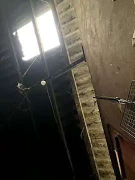 Nika-be online show from 01-17-26, 01:54