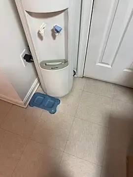 Snapshot of tigre6911 chatting on 12-16-25, 09:36 tigre6911 online show from 12-16-25, 09:36