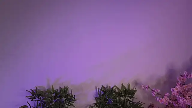 Mila Whelson online show from 01-17-26, 10:46