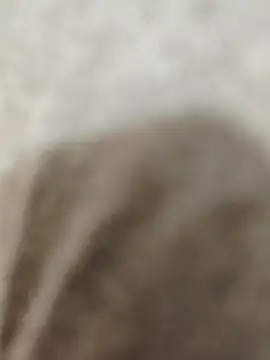 Snapshot of Indian_groupxxx chatting on 12-16-25, 04:56 Indian groupxxx online show from 12-16-25, 04:56