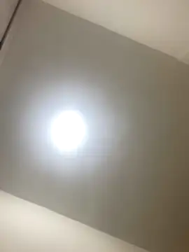 Snapshot of roger_rabiit chatting on 12-19-25, 01:12 roger rabiit online show from 12-19-25, 01:12