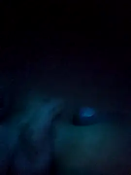 norvisito online show from 12-19-25, 06:20