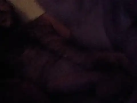 Snapshot of Maknithappen chatting on 07-02-26, 11:49 Maknithappen online show from 07-02-26, 11:49