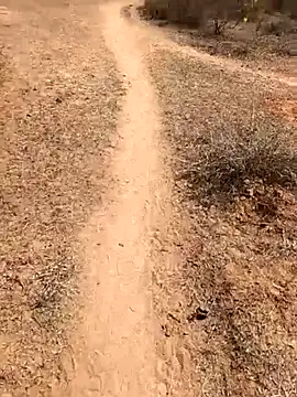 Snapshot of Tamilpaiyan07 chatting on 02-08-26, 05:55 Tamilpaiyan07 online show from 02-08-26, 05:55