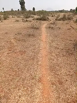 Snapshot of Tamilpaiyan07 chatting on 02-09-26, 07:01 Tamilpaiyan07 online show from 02-09-26, 07:01