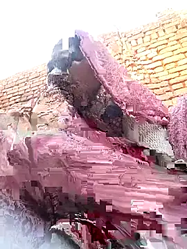 Rakhi cut online show from 01-13-26, 02:39