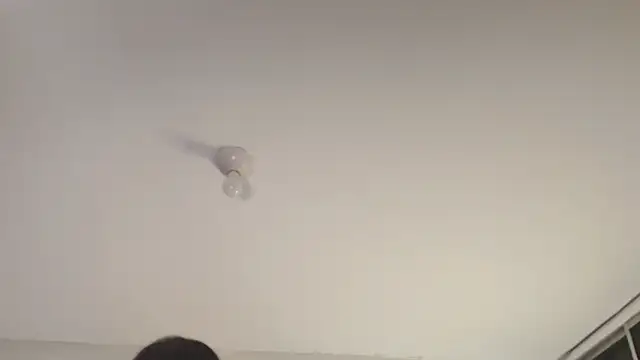 Sofii unicorn online show from 03-13-26, 01:40