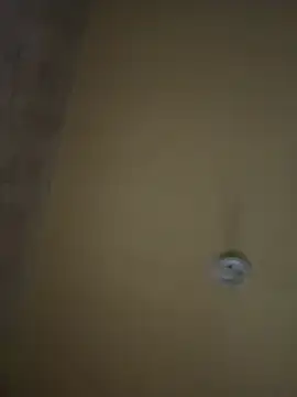 amorasecy online show from 04-17-26, 11:13