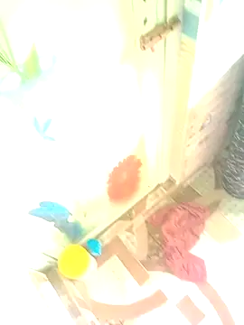 Hooghlypinkivabi online show from 01-10-26, 07:32