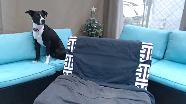 mspatience online show from 03-06-26, 08:27