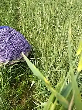 hornycouple20000 online show from 02-01-26, 06:45