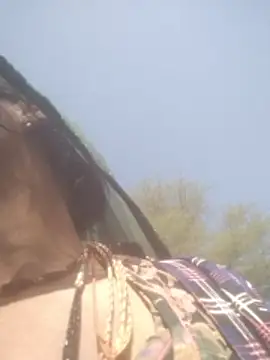 hornycouple20000 online show from 02-05-26, 05:01