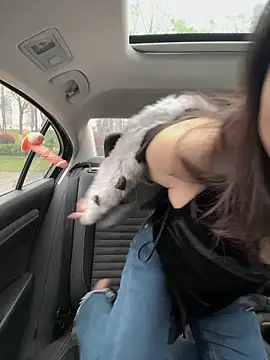 mo-mo-69 online show from 04-03-26, 02:09