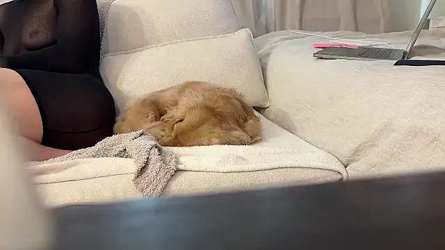 Ambrrr online show from 04-11-26, 08:02