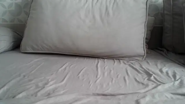 apollo81 online show from 02-18-26, 09:49