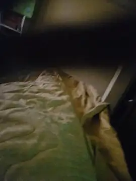 Xavlex0803 online show from 04-17-26, 12:41