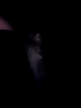 SweetTastes online show from 02-21-26, 12:39