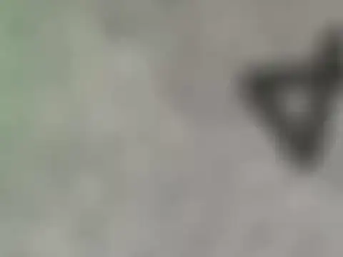 dearornge online show from 03-17-26, 07:01