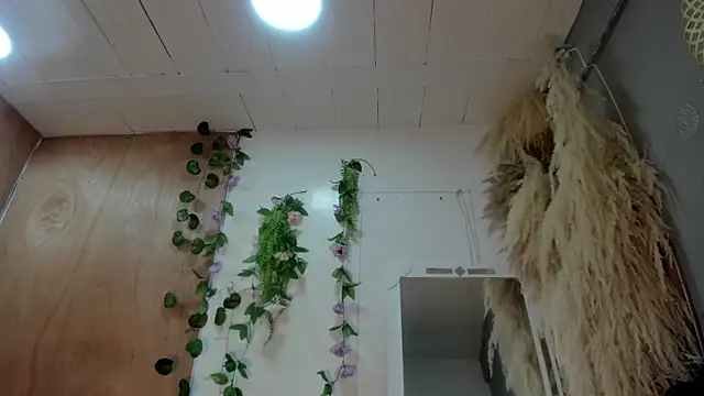 Snapshot of Alice_randyy chatting on 02-10-26, 01:04 Alice randyy online show from 02-10-26, 01:04