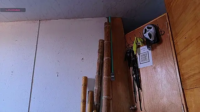 Snapshot of Alice_randyy chatting on 02-12-26, 01:17 Alice randyy online show from 02-12-26, 01:17