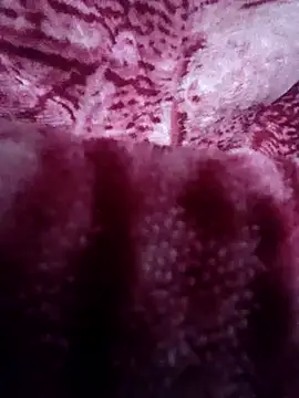 Pagelboy 089 online show from 02-11-26, 01:10