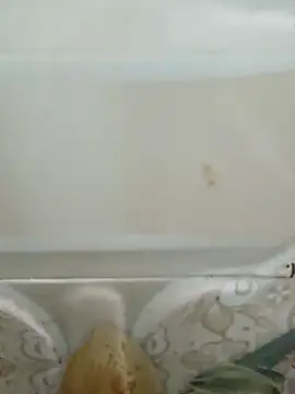 Pagelboy 089 online show from 03-19-26, 03:05