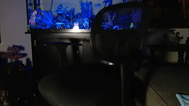 Snapshot of EspanolVato chatting on 01-10-26, 10:50 EspanolVato online show from 01-10-26, 10:50