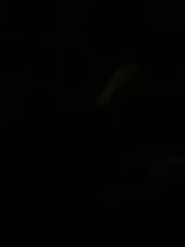 Herr Snusk online show from 07-01-26, 12:12