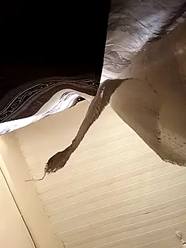 Snapshot of shanicollete chatting on 01-15-26, 04:28 shanicollete online show from 01-15-26, 04:28