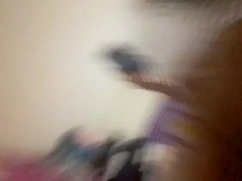 kitty pi online show from 03-29-26, 02:55