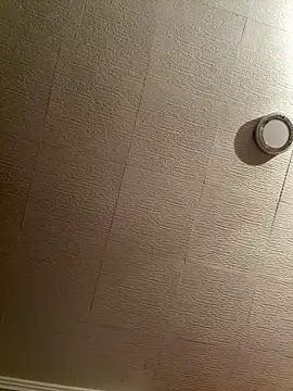 Evelin199 online show from 02-08-26, 08:45