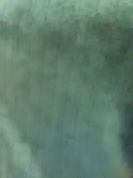 Nooran noona online show from 01-07-26, 09:17