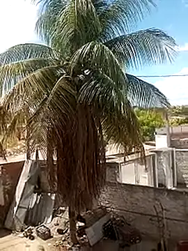     gozada---- online show from 01-09-26, 03:59