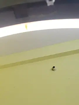 Snapshot of trinasa chatting on 01-09-26, 08:10 trinasa online show from 01-09-26, 08:10