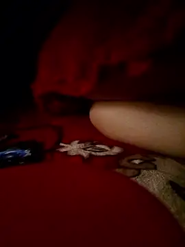 Snapshot of -Bunny-y chatting on 01-11-26, 05:29 -Bunny-y online show from 01-11-26, 05:29