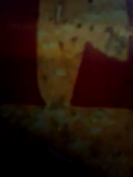 CockForPussy1508 online show from 02-10-26, 06:39