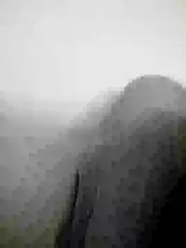 Scook Gray  online show from 04-08-26, 06:08