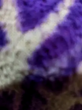 Gaonkadesiland online show from 01-15-26, 06:22