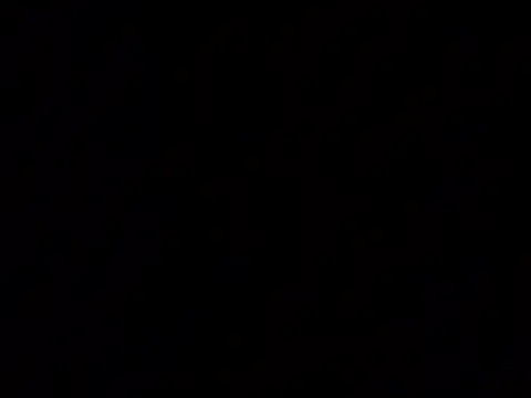 Snapshot of NatalieTrans916 chatting on 01-09-26, 04:04 NatalieTrans916 online show from 01-09-26, 04:04