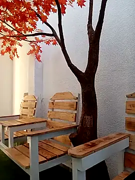 Dante Knox online show from 03-02-26, 11:28