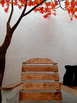 Dante Knox online show from 03-11-26, 11:49