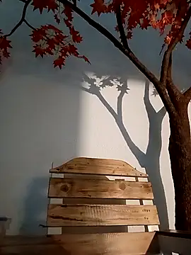 Dante Knox online show from 03-26-26, 11:21