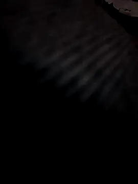 Boy4youuu online show from 03-29-26, 09:15