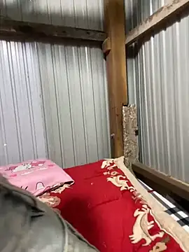 Xo xo237 online show from 03-01-26, 04:14